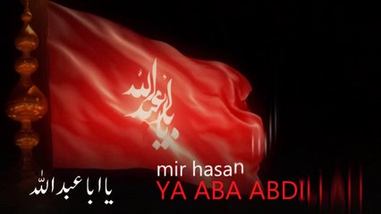 Ya Aba Abdillah - Mir Hasan Mir - Nohay 1434_2013 -
