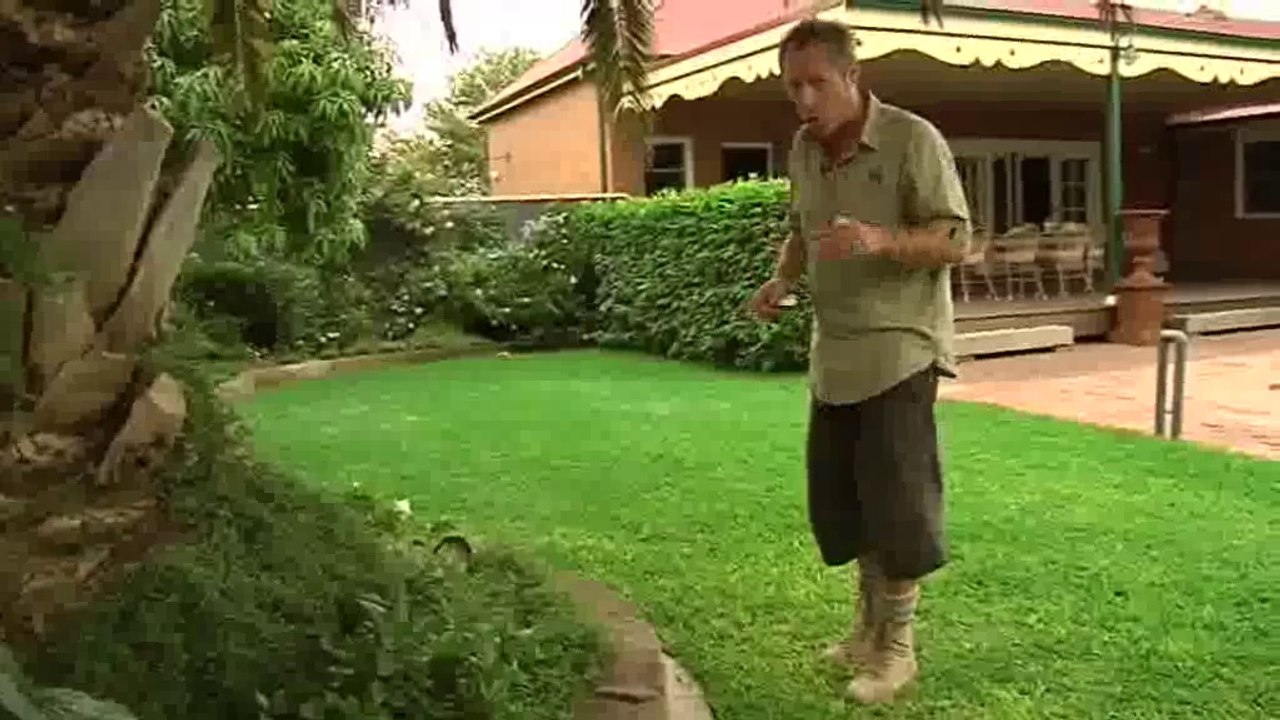 Measuring your Lawn Area | Lawn Care Tips / Expert Advice