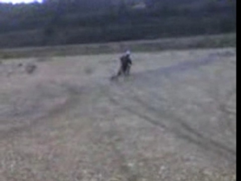 dirtbike crz 140cc pitbike