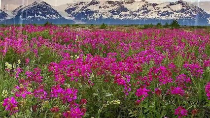 02 - Imágenes y música del Alma