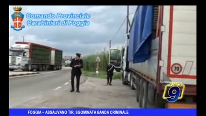 FOGGIA | Assaltavano tir, sgominata banda criminale