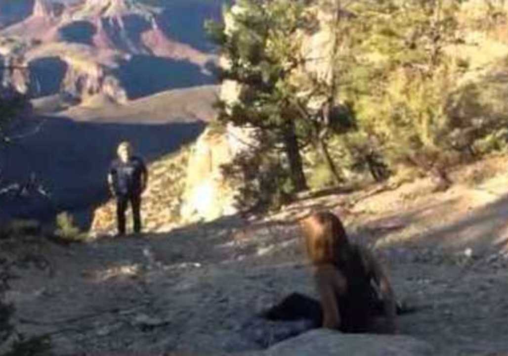 Man Makes Girlfriend a Grand Proposal at the Gr...