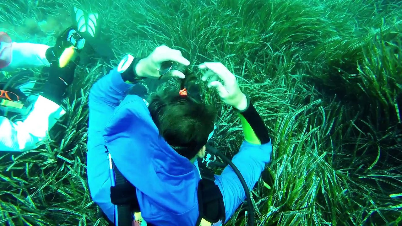 Fundive m.e. first class divers - caution! full hd