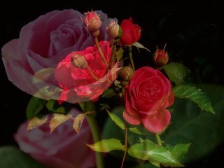 Namaz (Kimseye Söyleyemem) (Can Demiryel)