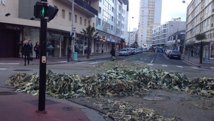 Maraîchers en colère