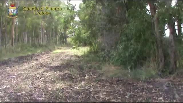 Crotone - Maxi sequestro di cocaina da parte della Guardia di Finanza (08.10.14)