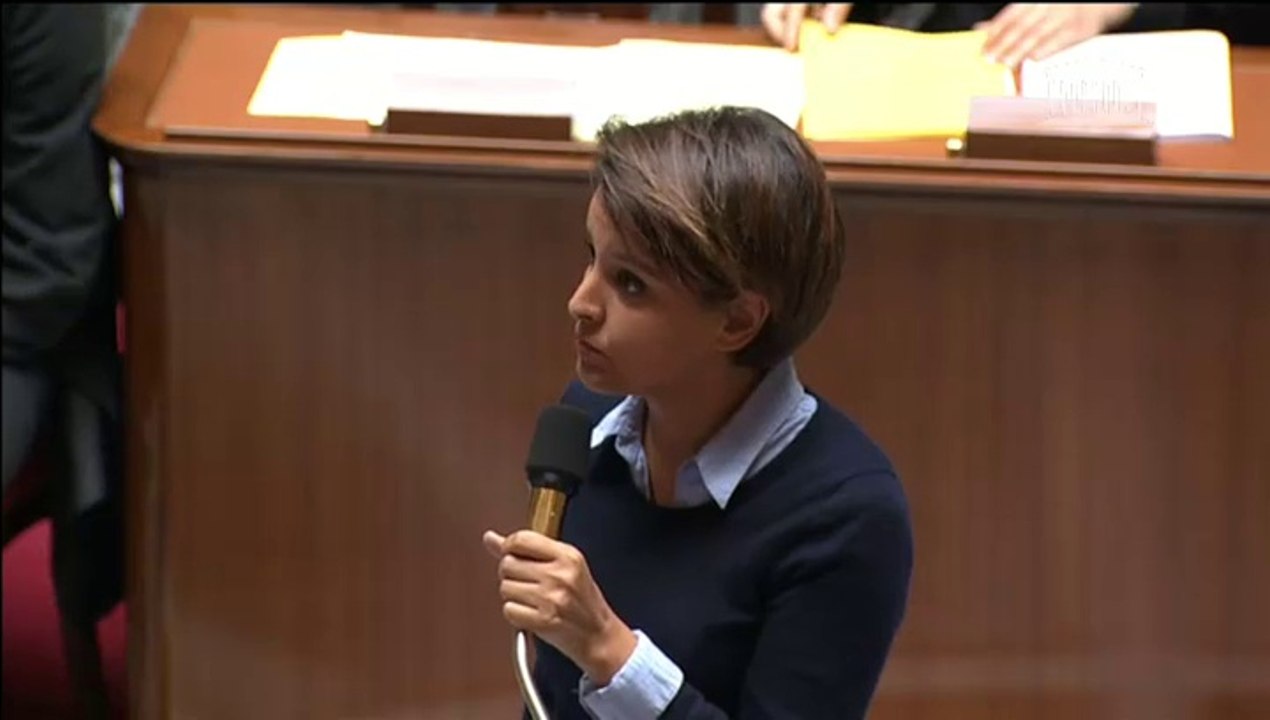 [ARCHIVE] Consultation nationale sur le socle commun - Questions au Gouvernement à l'Assemblée nationale : réponse de Najat Vallaud-Belkacem au député Sylvain Berrios, mercredi 8 octobre 2014