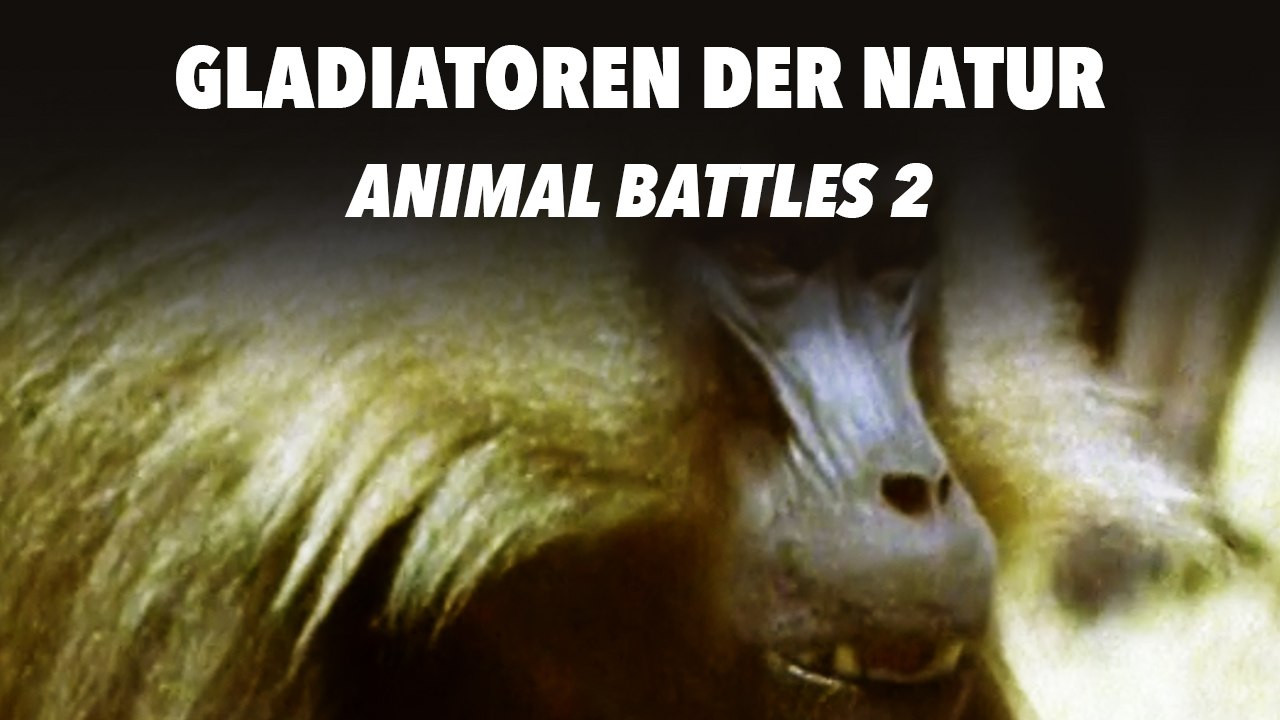 Gladiatoren der Natur - Animal Battles 2 (2011) [Dokumentation] | Film (deutsch)