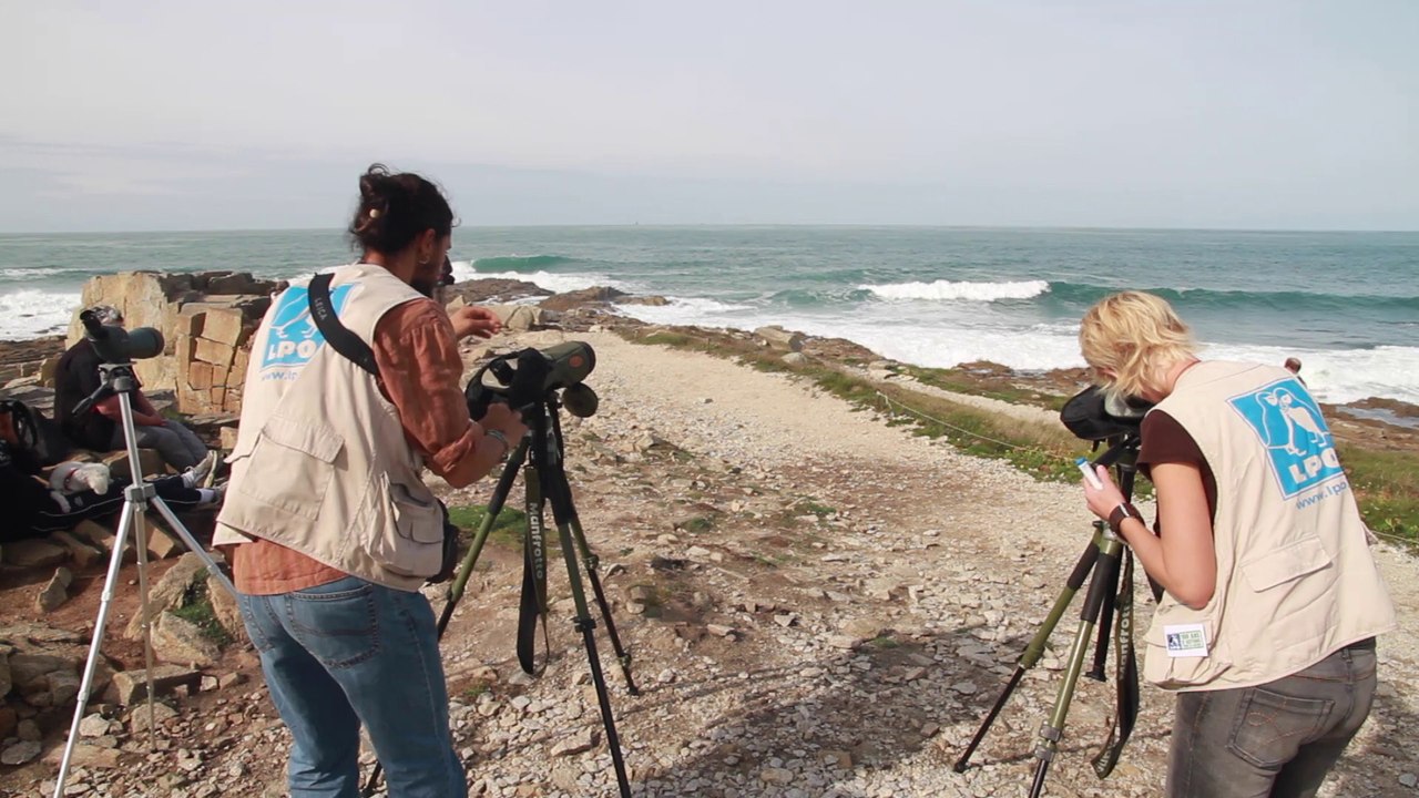 Eurobirdwatch 2014
