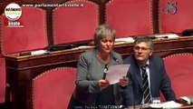 Delega lavoro, l'intervento di Ivana Simeoni (M5S) - MoVimento 5 Stelle