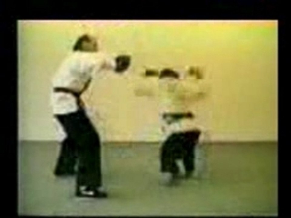 singe karaté baston mise a l'amende