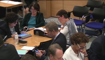 Com Lois 8 oct 2014 Numérique et droits fondamentaux