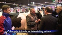 François Hollande au Salon de l'Agriculture, le 21 février 2015