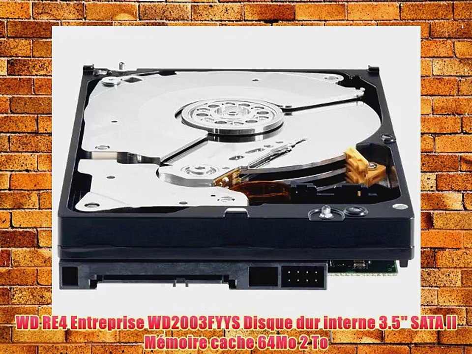 WD RE4 Entreprise WD2003FYYS Disque dur interne 3.5'' SATA II M?moire cache 64Mo 2 To