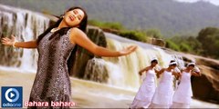 Odia Movie A Aa Harshei | Odia Romantic Video Bahara Bahara | A Aa Harshei Movies Videos | Odiaone