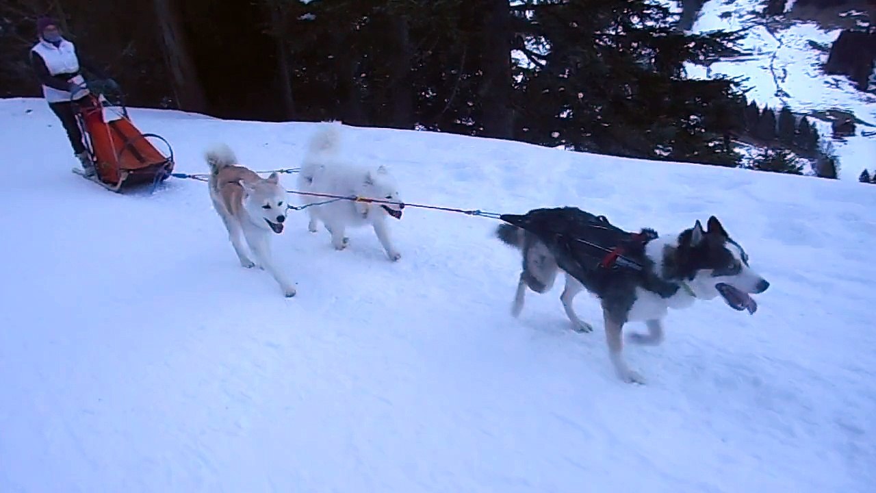 Traîneau Morgins 19.02.15