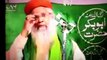 Maulana Tariq Jameel - Cursing Yazid to befriend The Shia To Advinced Goal Of Tablighi Jamaat