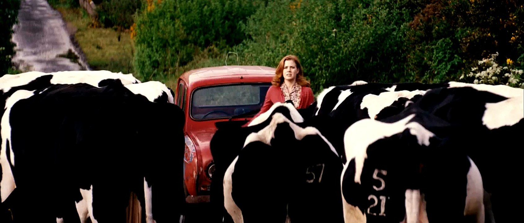 Aşka Yolculuk - Leap Year (2010) HD Trailer