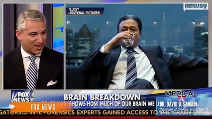 Why Do People Believe We Only Use 10 Percent Of Our Brains?