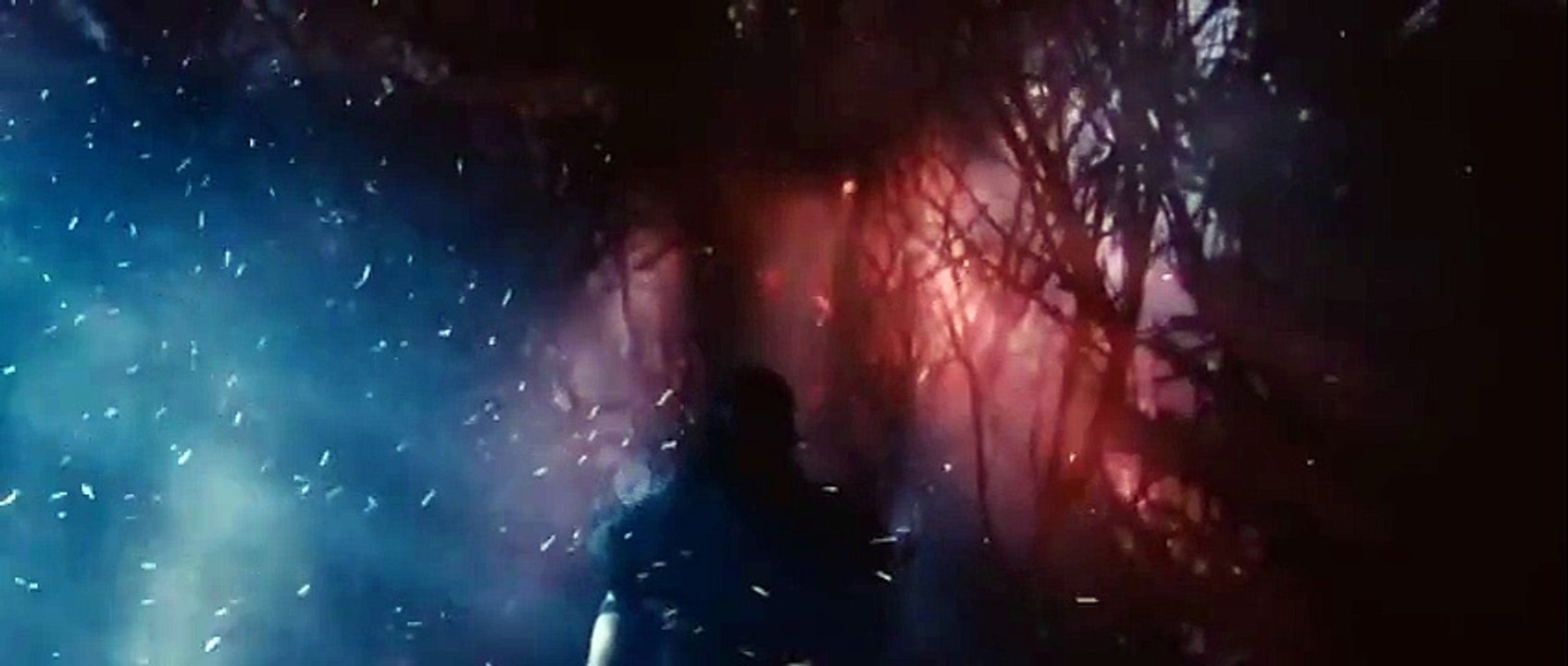 Outlander (2008) (Castellano)