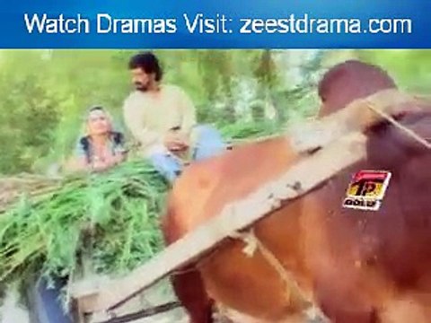 MAIN TAIKOON CHOOR DAISAAN SINGER AMJAD NAWAZ KARLO POST BY SALEEM TAUNSVI 03338586875