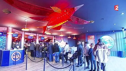 À Saint-Malo, l'aquarium attire les touristes