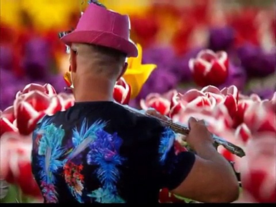 CANE NIKOLOVSKI  / Flute / -   KEIFLISKO ORO