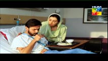 Mehram Episode 23 Full on Hum tv 19 February 2015