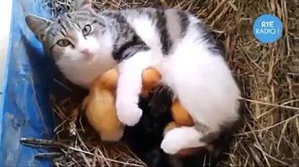 Beautiful Video - MashALLAH