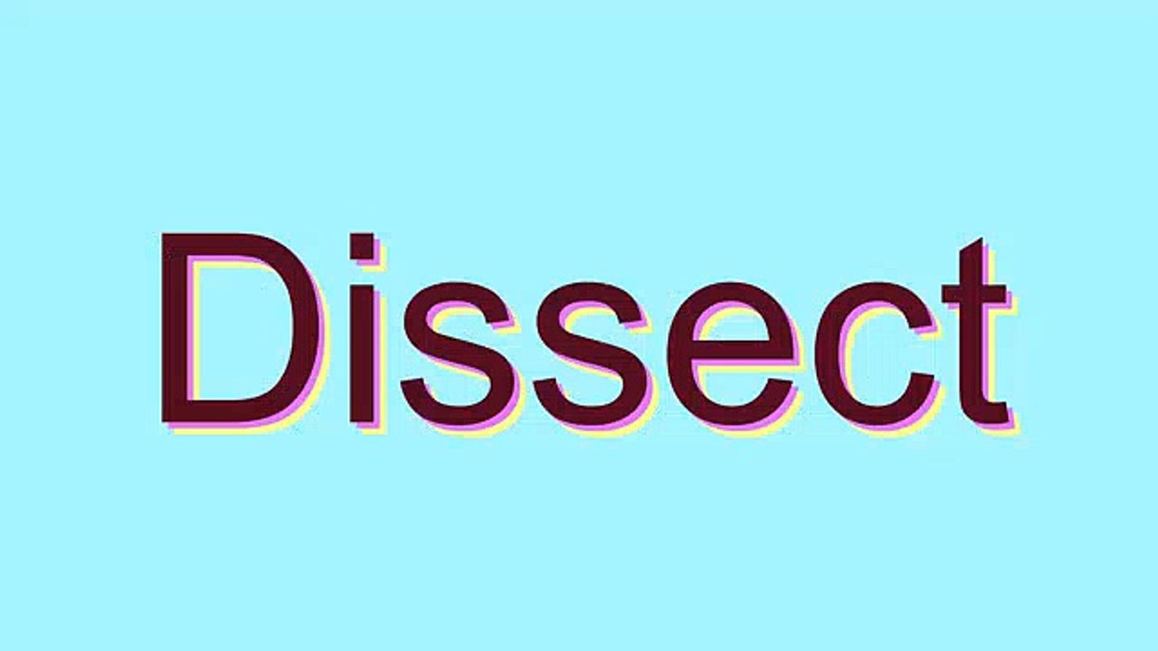 How to Pronounce Dissect