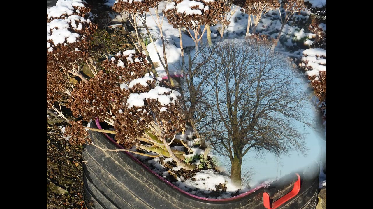 NICO : "Décembre" (paroles et musique : Nico)