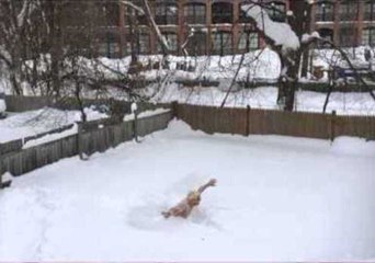 Man Takes a 'Swim' in Some Snow