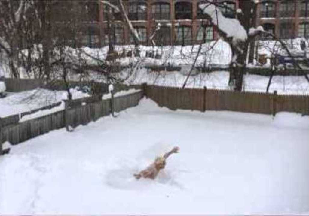 Man Takes a 'Swim' in Some Snow