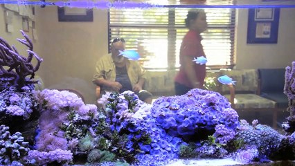 Welcome to Kindness Animal Hospital