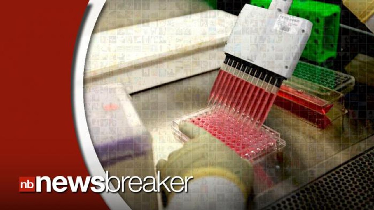 New Study Finds AIDS Drug Shields Monkeys from Getting Virus