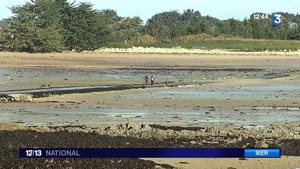 Vigilance sur le littoral à la veille de grandes marées