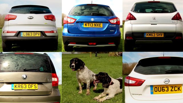 Dog Friendliness: Nissan Qashqai vs Kia Sportage vs Suzuki S-Cross vs Peugeot 3008 vs Škoda Yeti