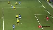 Seamus Coleman Goal - Young Boys vs Everton 1-2 (Europa League 2015)