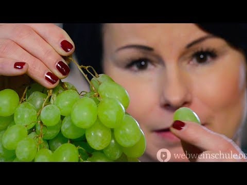 Weinschule Folge 2: Wie entsteht Wein?