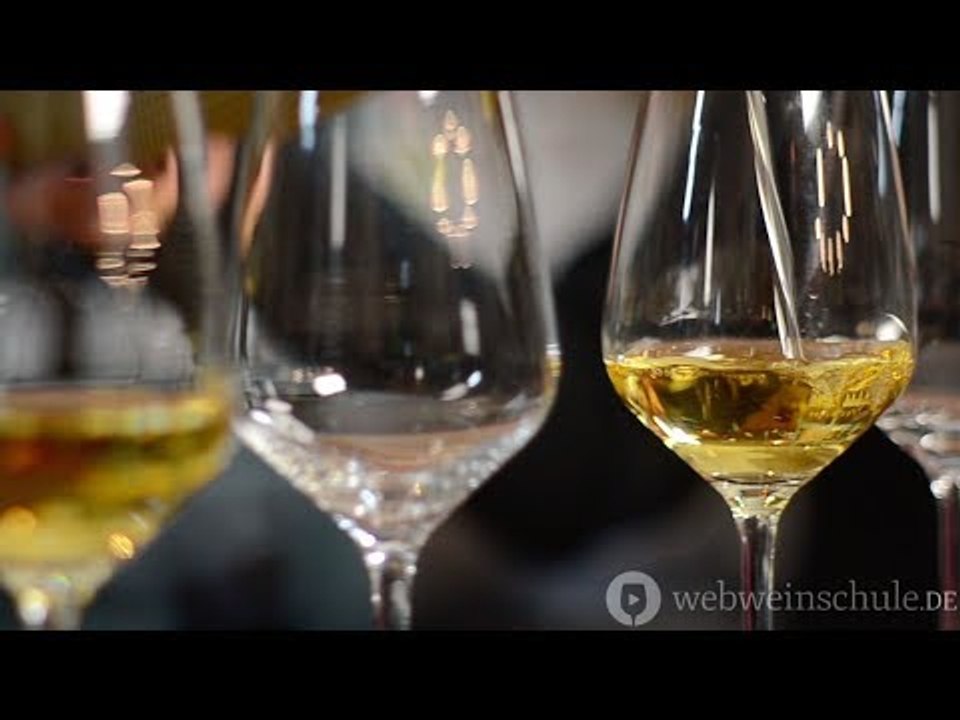 Weinschule Folge 4: Die Sache mit dem Wein