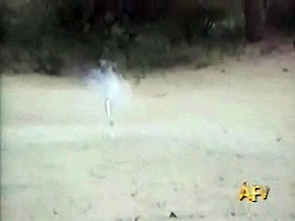 Firework(Funny)