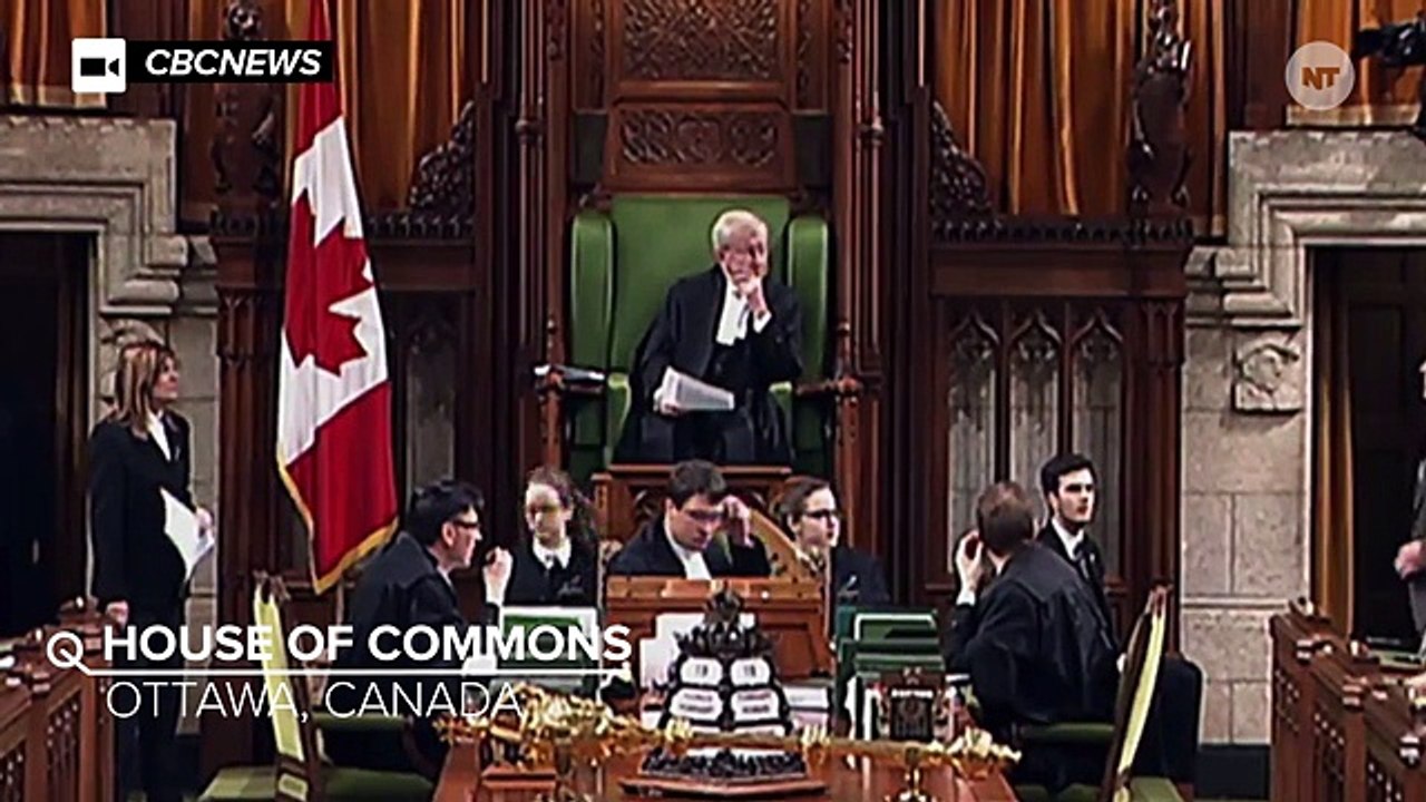 Canadian MP Misses Vote, Blames It On Uncomfortable Underwear