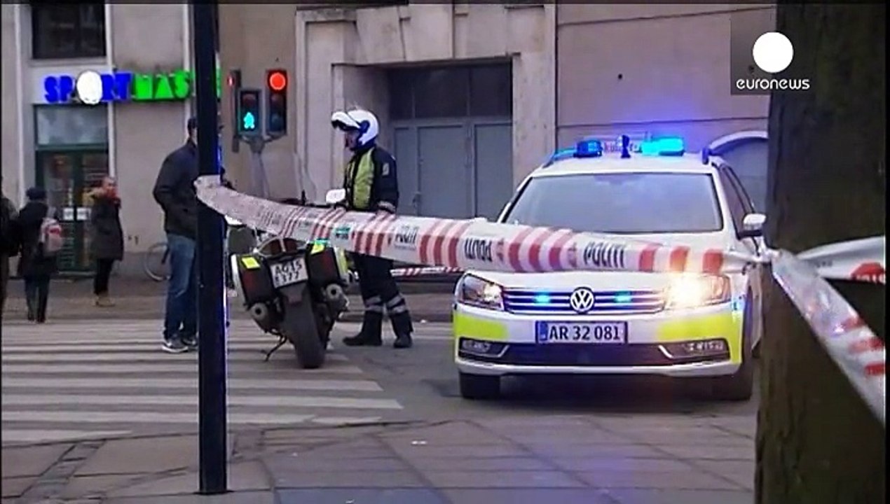 Denmark steps up 'defence against terror'