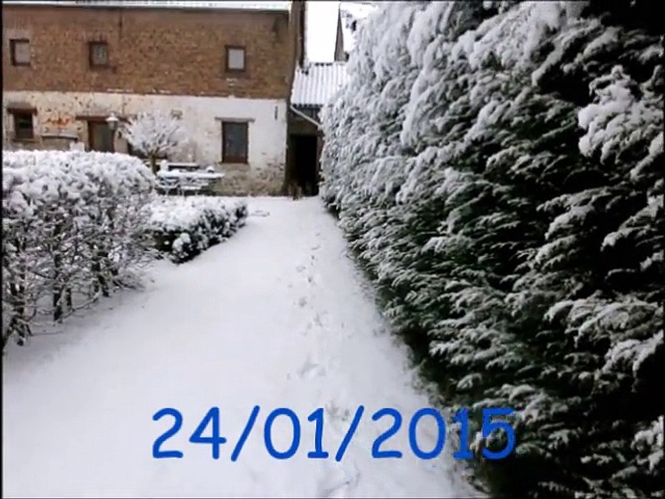 LA CKALIKSOU élevage de Bergers Belges Tervueren