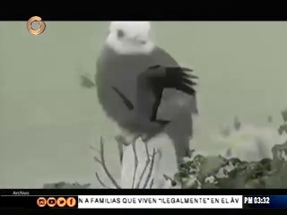 Globovisión recuerda el legado de Tío Simón