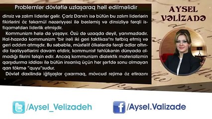 Aysel Vəlizadə - Problemler dövlətlə uzlaşaraq həll edilməlidir