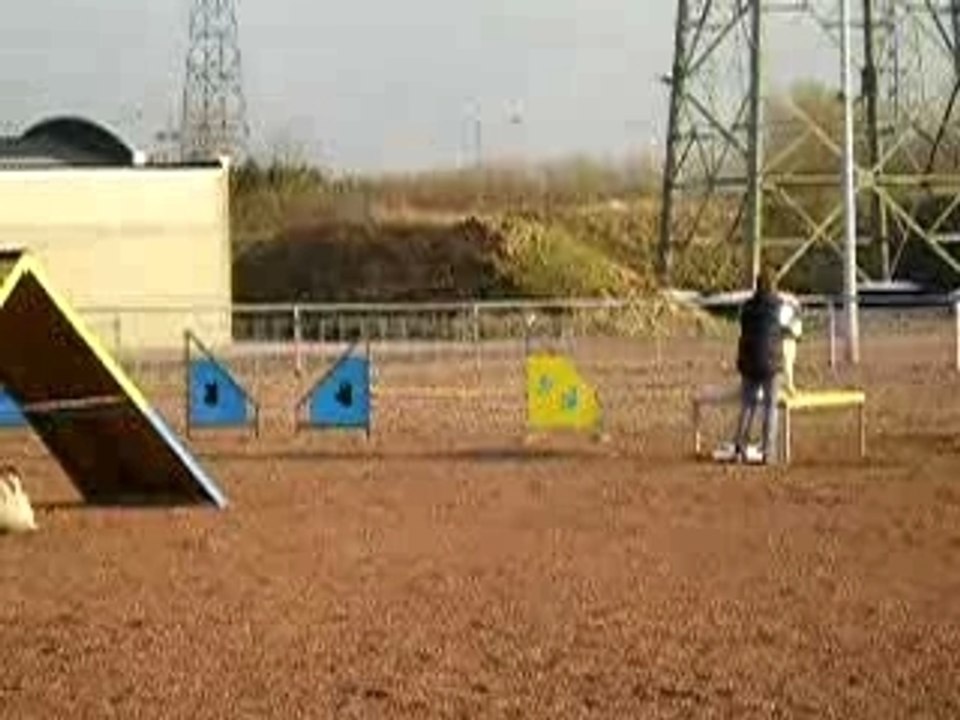 Berlioz en agility (1ere partie)