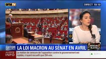 19H Ruth Elkrief: Edition spéciale Rejet de la motion de censure (3/8): Les commentaires de Thierry Arnaud et Anna Cabana - 19/02