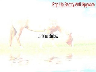 Pop-Up Sentry Anti-Spyware Serial - Download Here