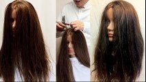 Layered Hair Cut Tutorial